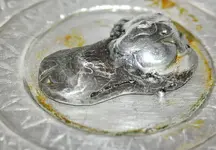 10.webp