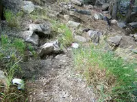 trash 1.webp