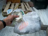 trash 2.webp