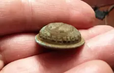 20140802_071734 button.webp