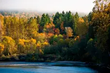 skagit autumn enfuseda.webp