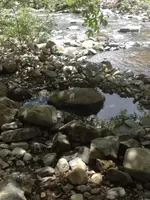 image-2816478722.webp