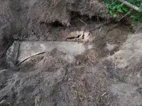 20140724_102424.webp