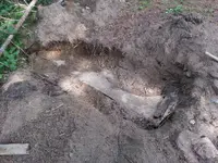 20140724_102437.webp
