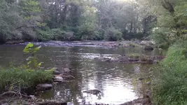 125_2372.webp 125_2372.webp