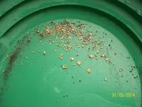 G-5-31-14 4.1 grams (6).webp G-5-31-14 4.1 grams (6).webp