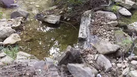 125_2373.webp 125_2373.webp