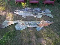 20140724_184643.webp