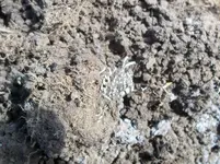100_2623.webp