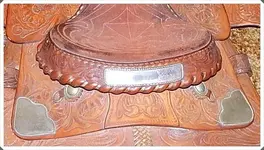 Saddle Plate-crop.webp