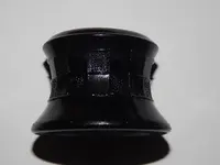 DSCN5821.webp