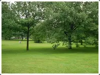 SDC18768.webp