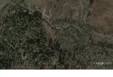 dows me.webp dows me.webp