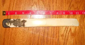 DSCN3137.webp