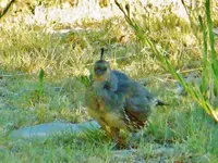 FSCN5945.webp FSCN5945.webp