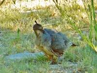FSCN5946.webp