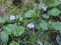 K1600_010.webp