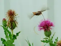 FSCN1153.webp FSCN1153.webp
