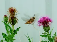 FSCN1154.webp FSCN1154.webp