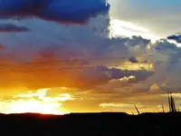 DSCN0371.webp