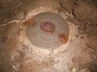 DSCN8668.webp