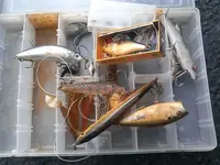 ForumRunner_20140802_190928.webp
