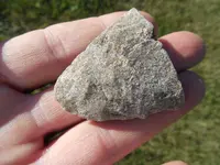 DSCN3838.webp