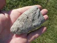 DSCN3839.webp