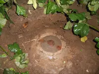 DSCN8669.webp