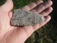 DSCN3841.webp
