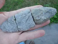 DSCN3842.webp