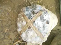 DSCN8714.webp