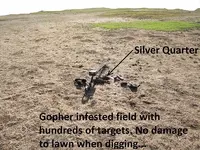 Park finds 8-23-14 019.webp