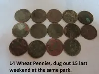 Park finds 8-23-14 024.webp