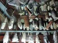 DSCN2087.webp