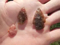 DSCN3843.webp