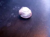 Rivet01.webp