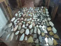 DSCN2098.webp