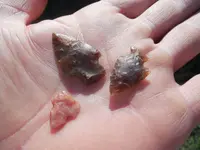 DSCN3844.webp