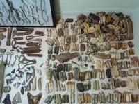 DSCN2101.webp