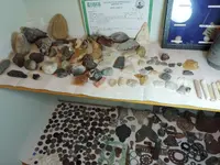 DSCN2104.webp