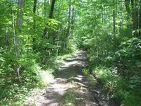 100_3219.webp