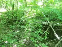 100_3221.webp