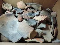 DSCN2108.webp