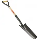 ss-62010.webp