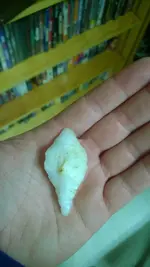 WP_20140805_003.webp