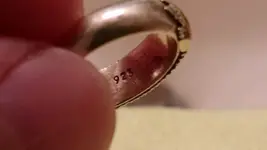 ring broche 4.webp