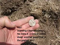 Prrks finds 8-2-14 010.webp