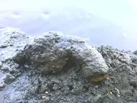 140810_006.webp