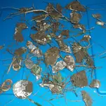 8_30_2014 todays trash.webp 8_30_2014 todays trash.webp